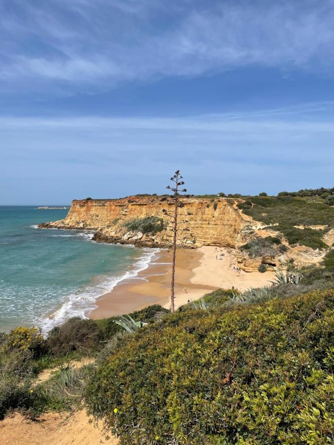 Villa Mar Fuente Del Sol Conil De La Frontera Bagian luar foto